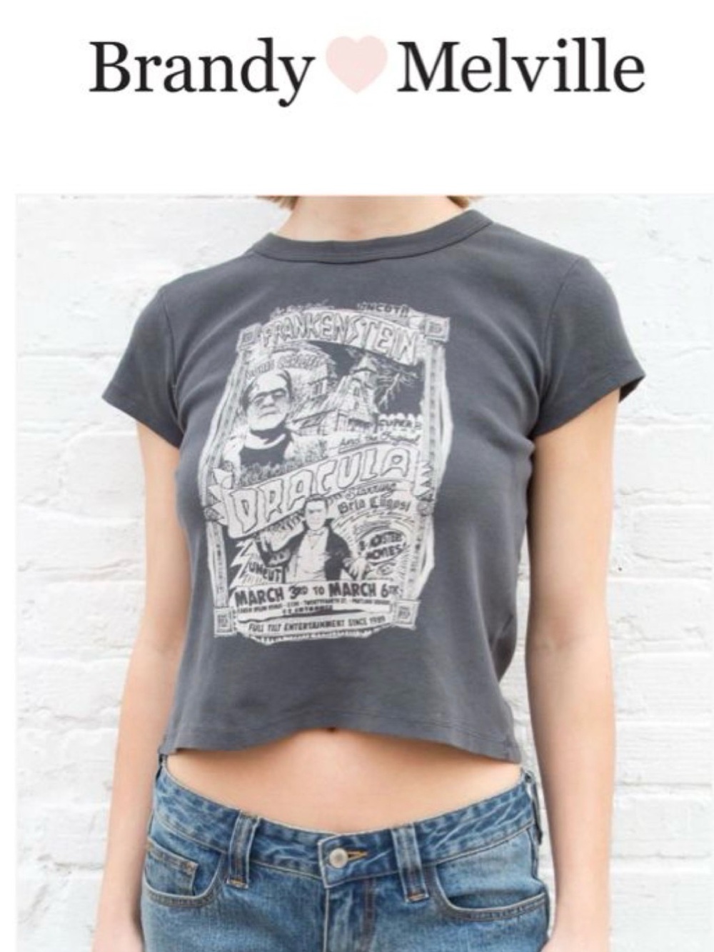 Brandy Melville Charcoal Gray Graphic Crop Tee